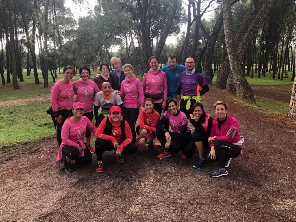 clp cuestalapota galapagar
